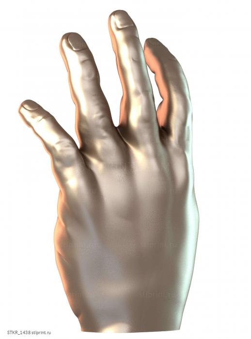 Mano Completa