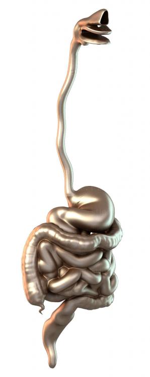 Muestra