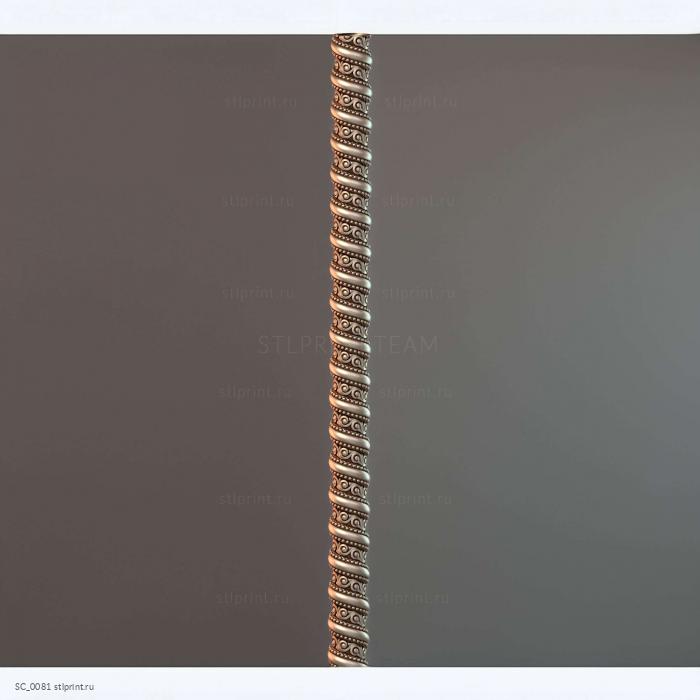 SC_0081