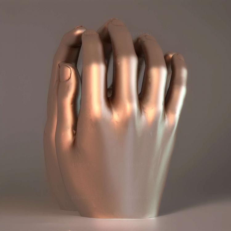 Кошачьи Лапы