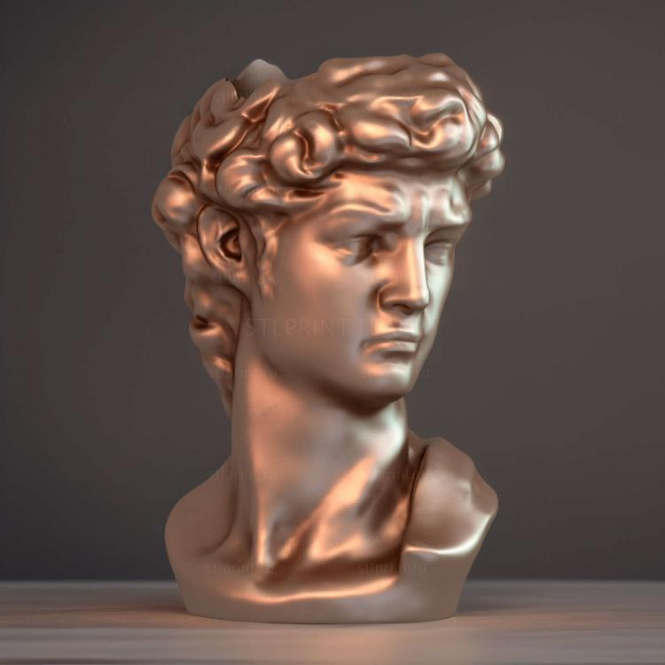Maceta David 2