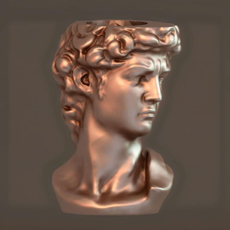 Maceta david