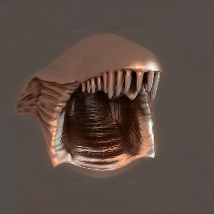 Mandibula Abajo