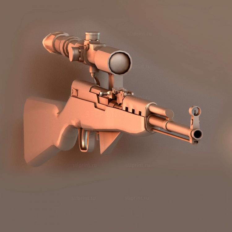 SKS с областью применения