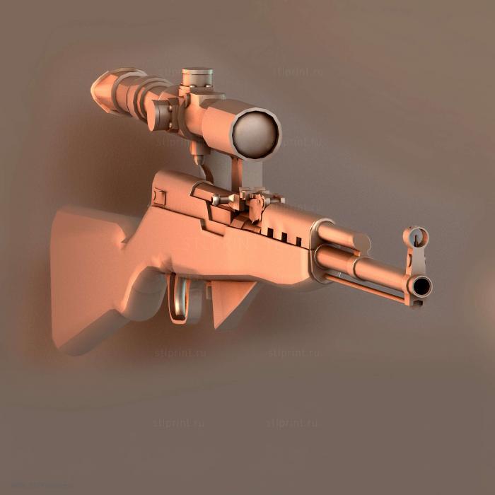 SKS с областью применения